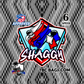 Pro Series- Shaggy Bags - Carpet-Set of 4 Bags